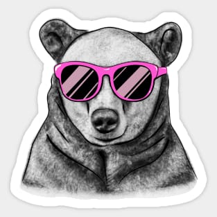 Pink Glasses Bear Sticker